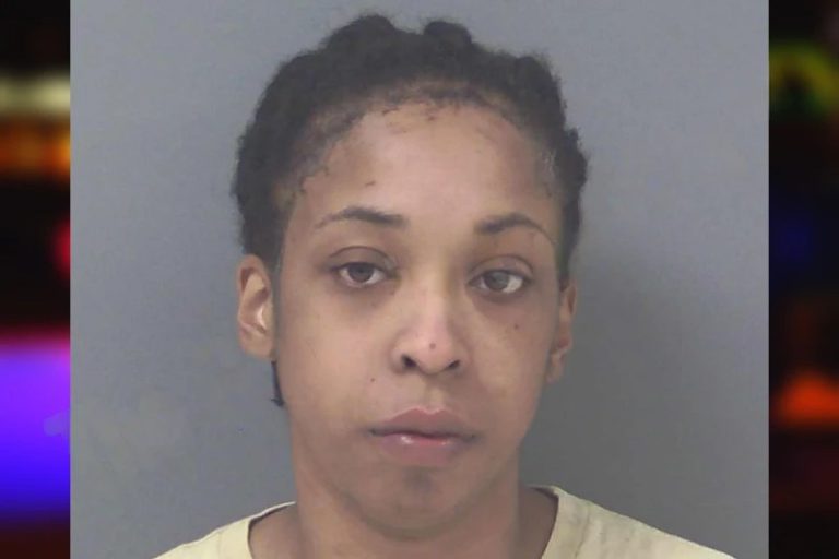 Laila Johnson mugshot – Chatham County , Georgia Laila Johnson