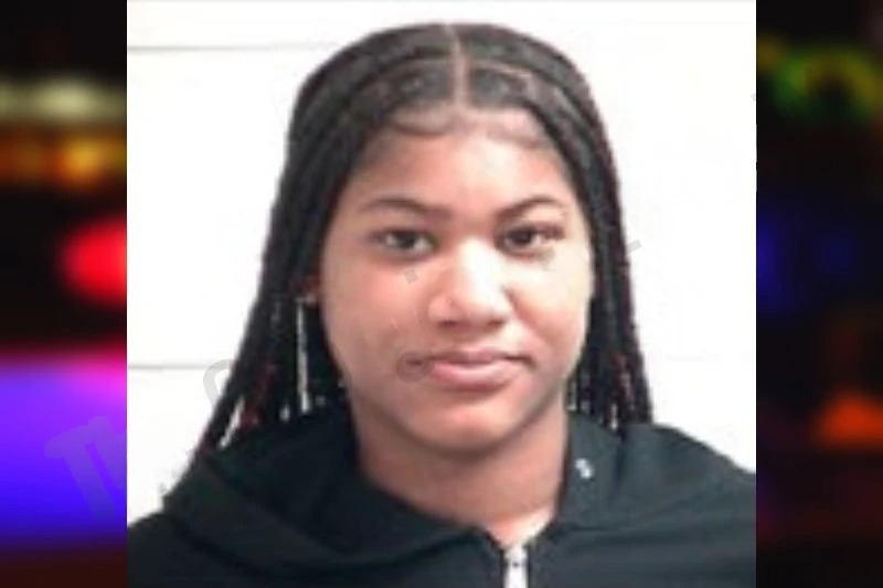 Lajanese Mitchell mugshot