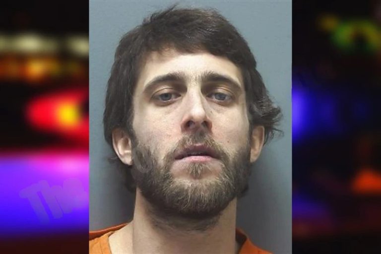 Lake Reynolds mugshot – Cherokee County , Georgia Lake Reynolds