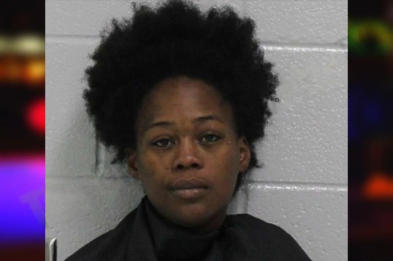 Lakeceia Johnson Mugshots