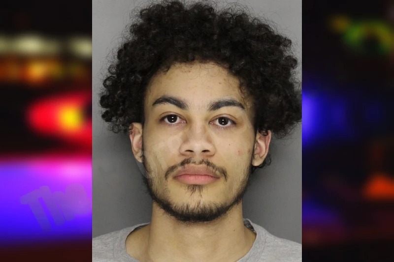 Lakedrick Lewis mugshot