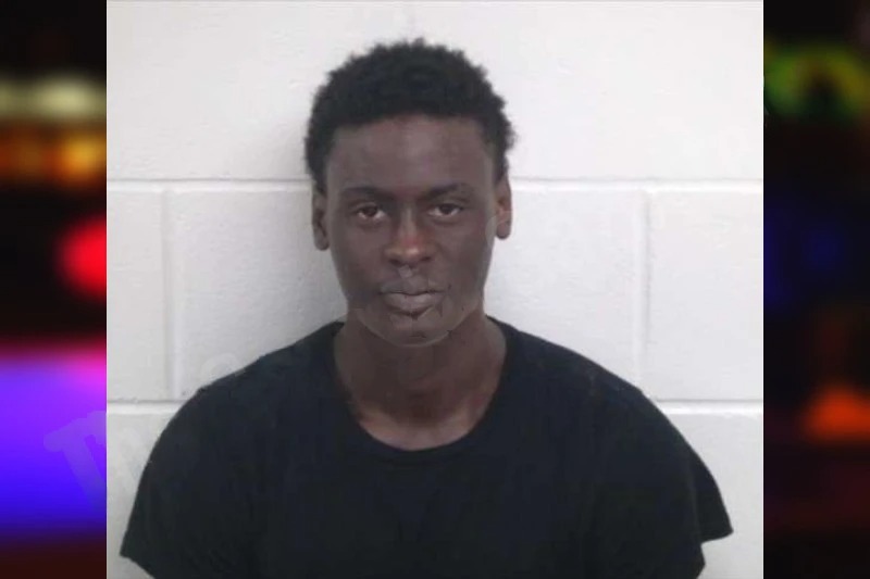 Lamarcus Fleming Mugshots