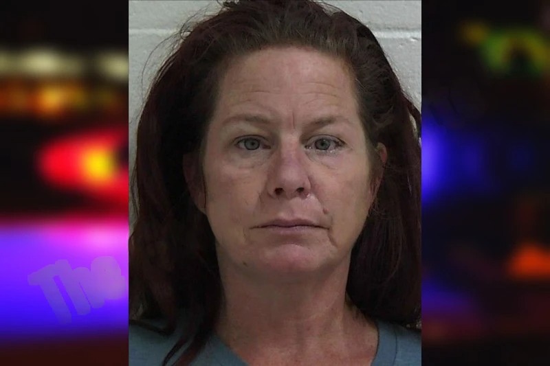 Lani Rineer Mugshots