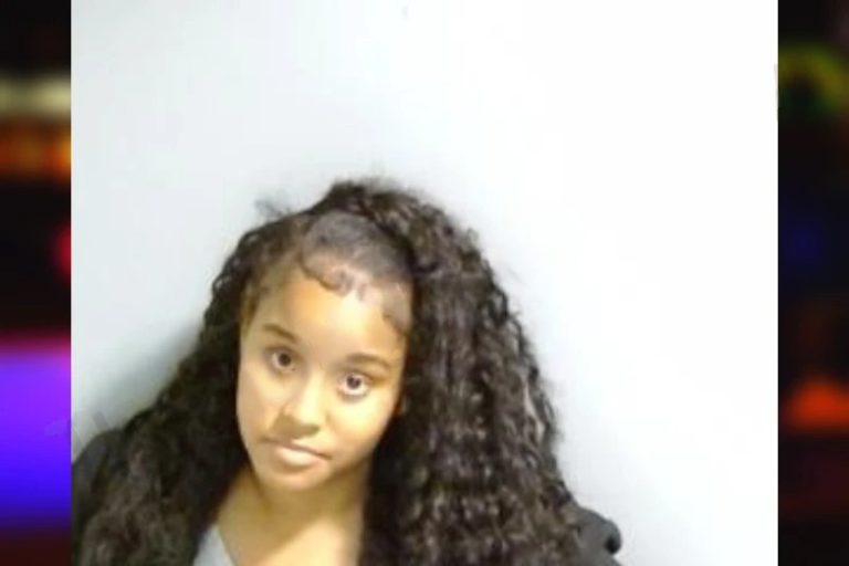 Lanshana Heno mugshot – Fulton County , Georgia Lanshana Heno