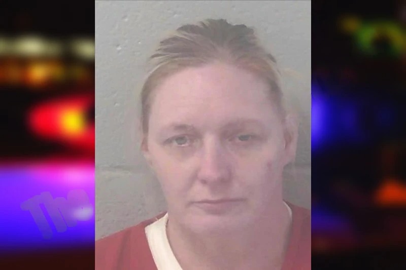 Lasha Henderson mugshot – Newton County , Georgia Lasha Henderson mugshot