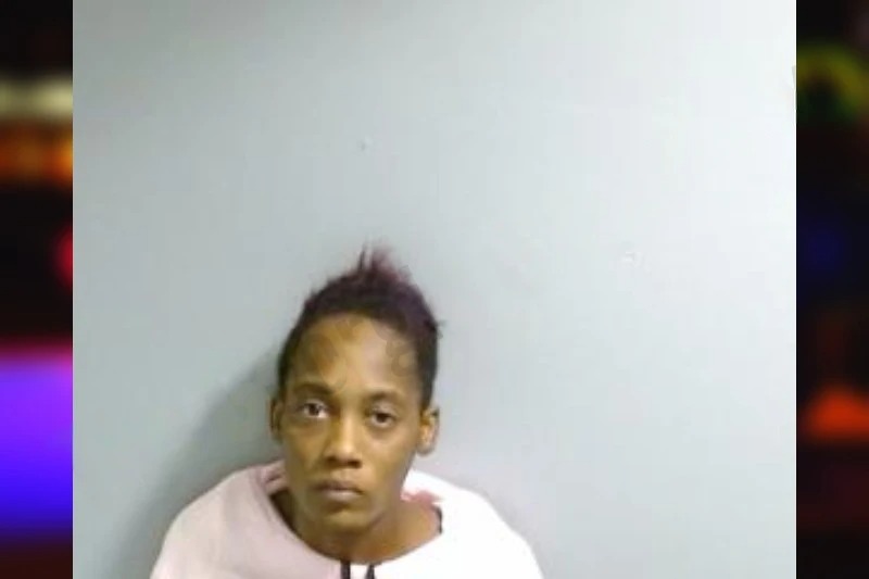 Lashawnne Turner mugshot – Fulton County , Georgia Lashawnne Turner mugshot
