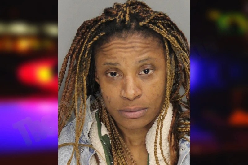 Latasha Chatman mugshot – Cobb County , Georgia Latasha Chatman mugshot