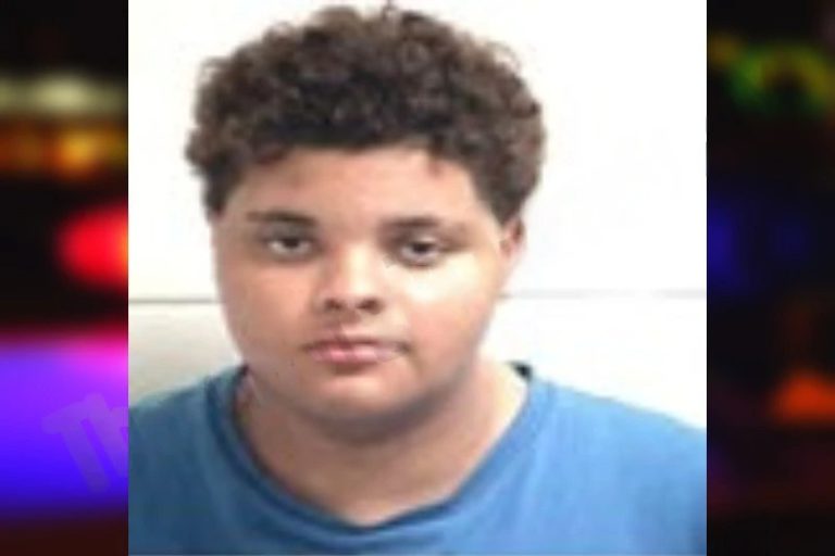 Laura Cash mugshot – Henry County , Georgia Laura Cash