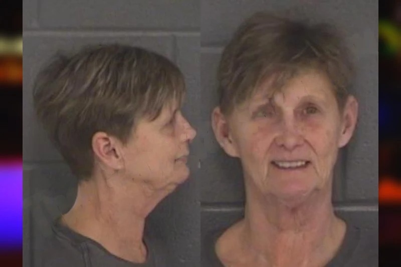 Laura Steele Mugshots