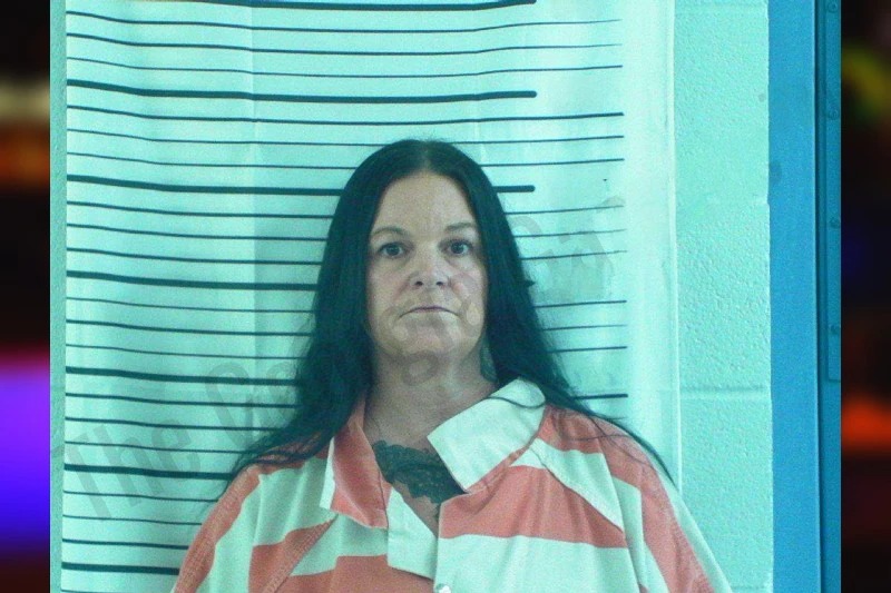 Laura Torres Mugshots