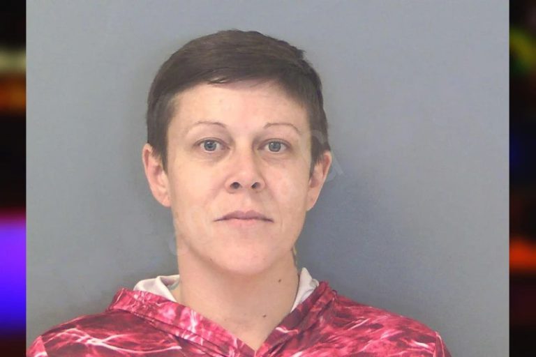 Lauren Gamble mugshot – Douglas County , Georgia Lauren Gamble