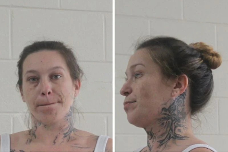 Lauren Gibson Mugshots