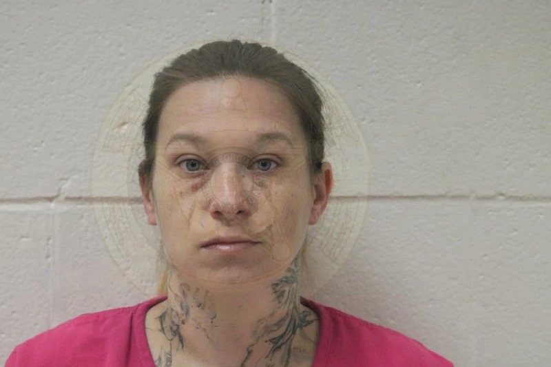 Lauren Gibson Mugshots