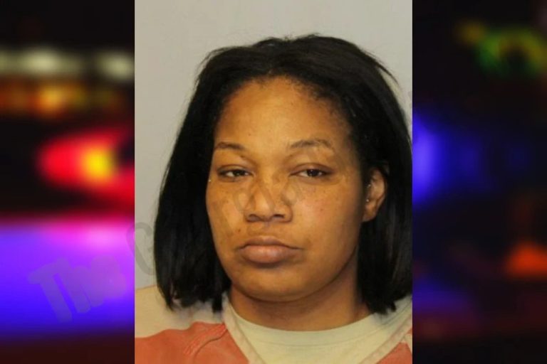 Lauren Jones mugshot – Hall County , Georgia Lauren Jones