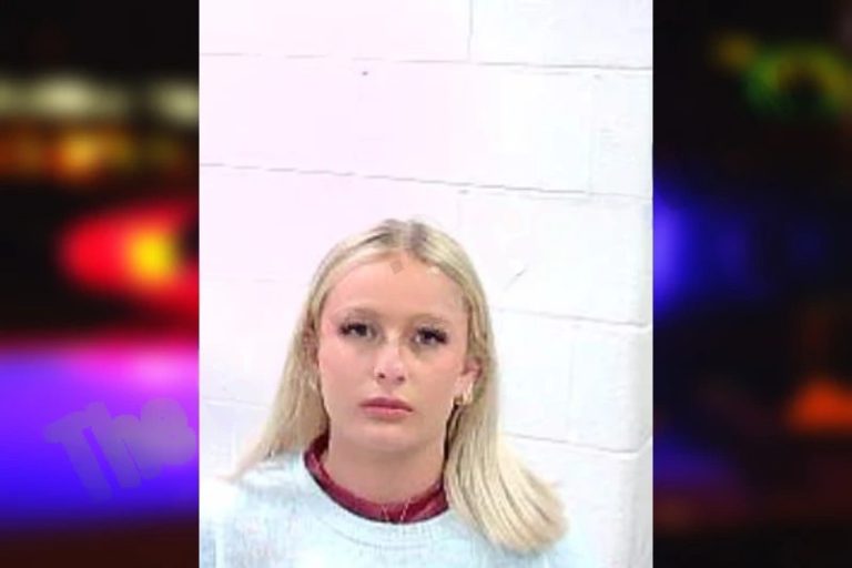 Lauren Lanning mugshot – Fulton County , Georgia Lauren Lanning