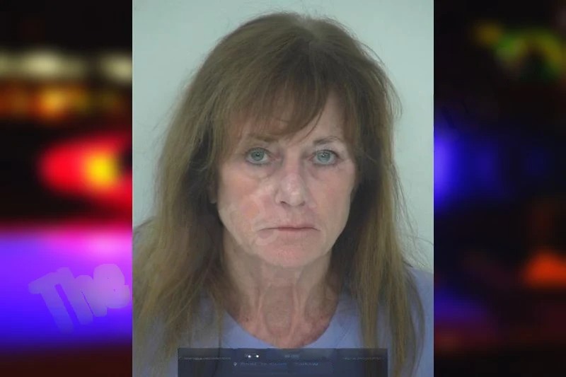 Laurie Noltimier mugshot – Fayette County , Georgia Laurie Noltimier mugshot