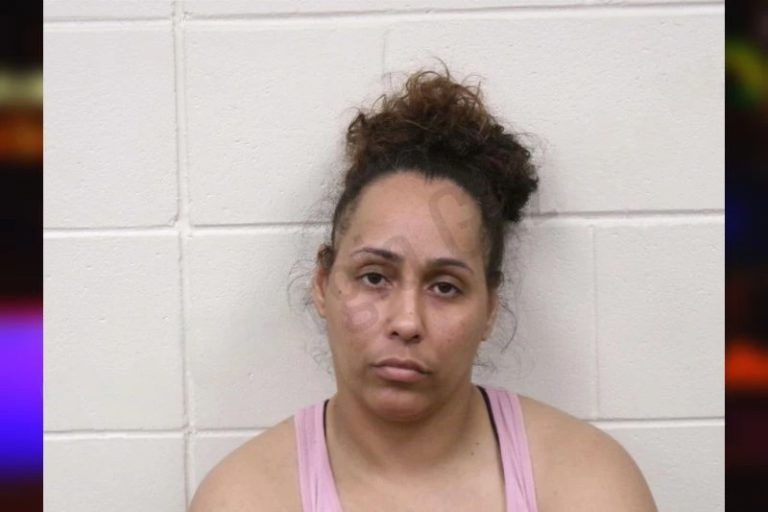 Lavelle Mincey mugshot – Bulloch County , Georgia Lavelle Mincey