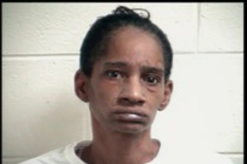 Lavern Bowman mugshot – Henry County , Georgia Lavern Bowman mugshot