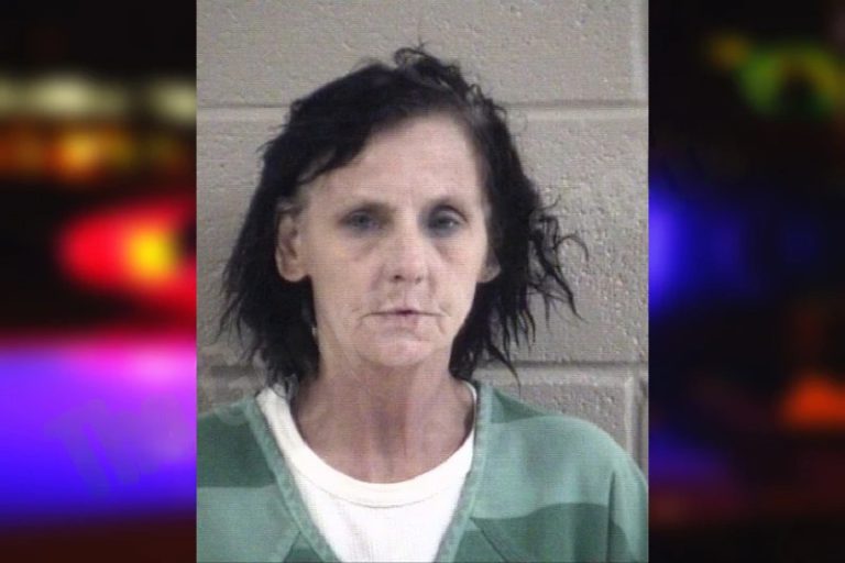 Lavonna Flowers mugshot – Whitfield County , Georgia Lavonna Flowers