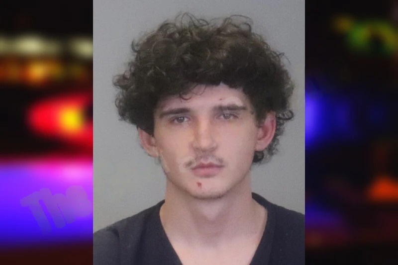 Layton Tomasiewicz mugshot