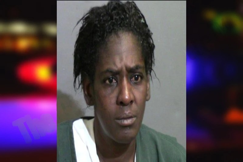 Laytoya Chester mugshot – Glynn County , Georgia Laytoya Chester mugshot