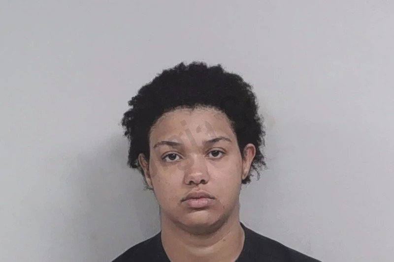 Leanna Hill Mugshots