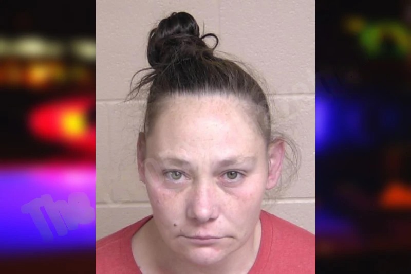 Leeann Lilly Mugshots