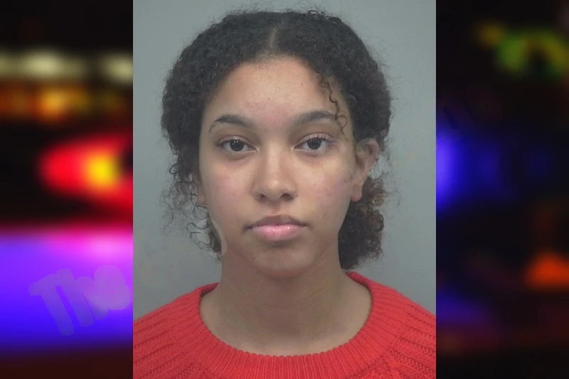 Leilana Brito Rodriguez mugshot