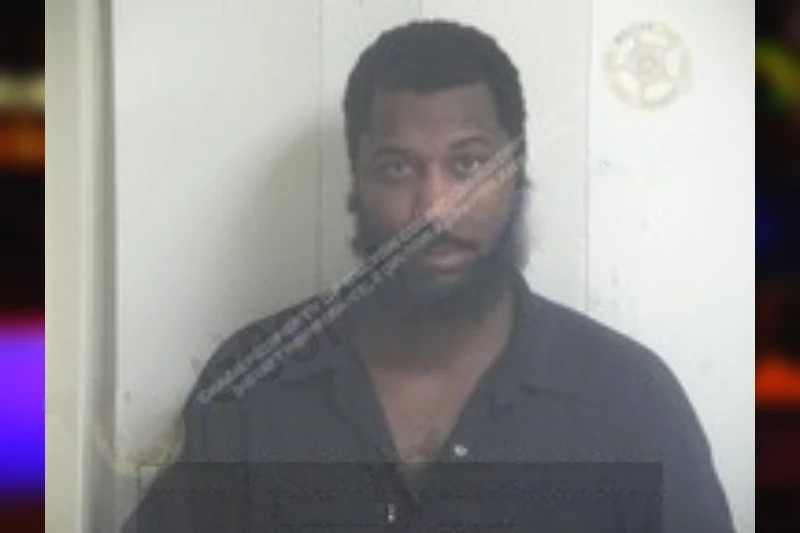 Lejuan Patterson mugshot – Walton County , Georgia Lejuan Patterson mugshot