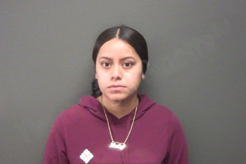 Lesley Mateo mugshot