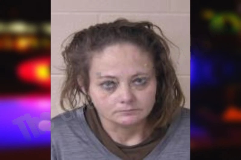 Leslie Morgan-Blansit mugshot