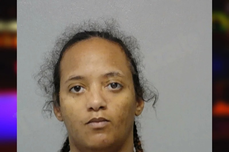 Lianne Flamer Mugshots