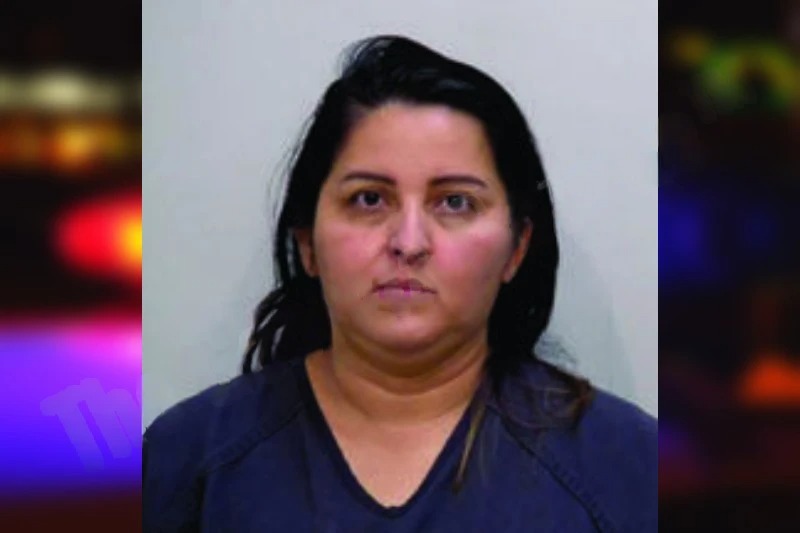 Lidia Lopez-Palacios Mugshots