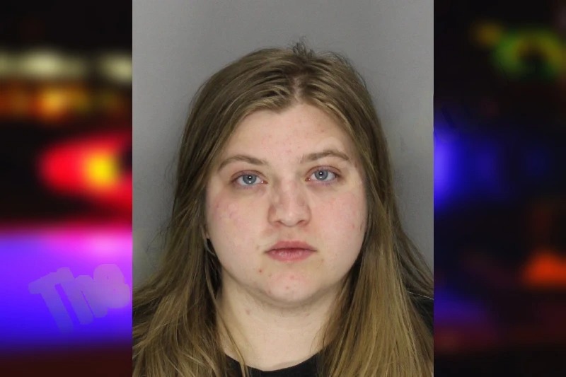 Lilia Keister mugshot – Cobb County , Georgia Lilia Keister mugshot