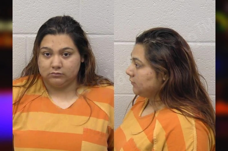 Liliana Mendoza Mugshots