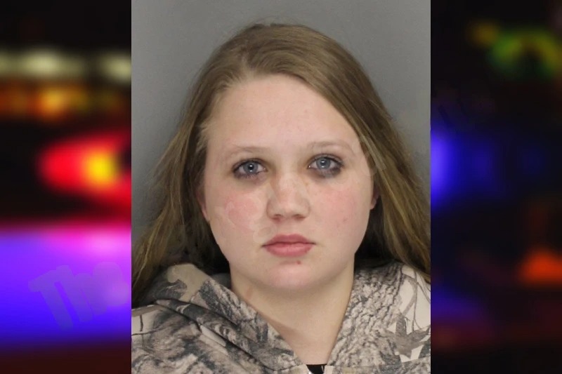 Lily Anderson mugshot