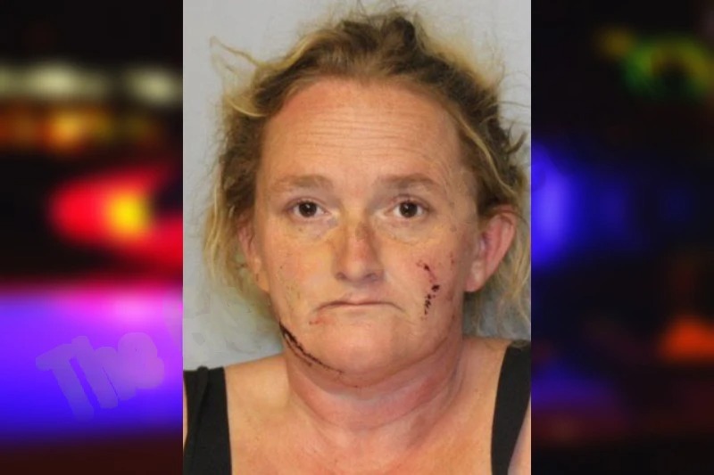 Linda Fricke Mugshots