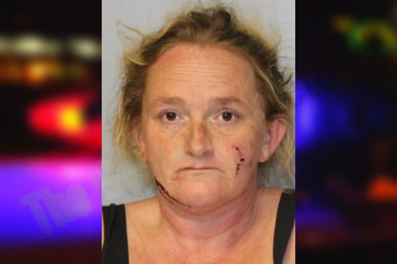 Linda Fricke Mugshots