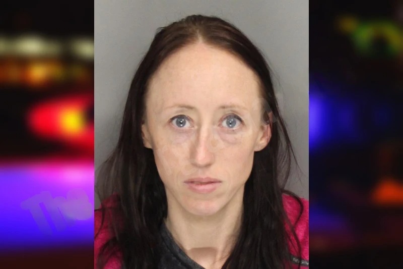 Lindsay McDonald Mugshots