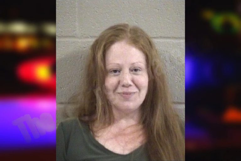 Lindsey Clay mugshot – Whitfield County , Georgia Lindsey Clay