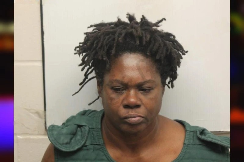 Lisa Butler mugshot – Chatham County , Georgia Lisa Butler mugshot