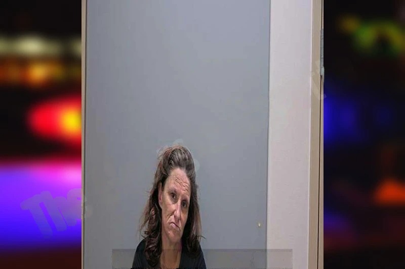 Lisa Corathers Mugshots