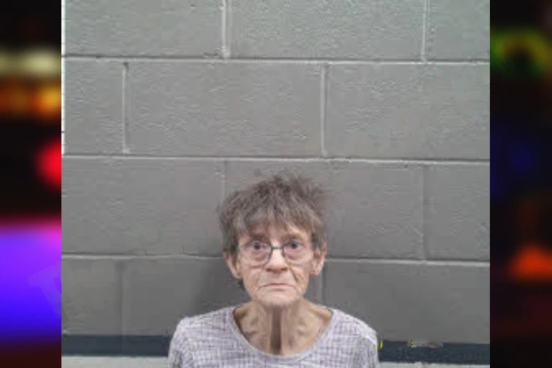Lisa Dalton mugshot