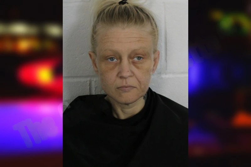 Lisa Dickson Mugshots