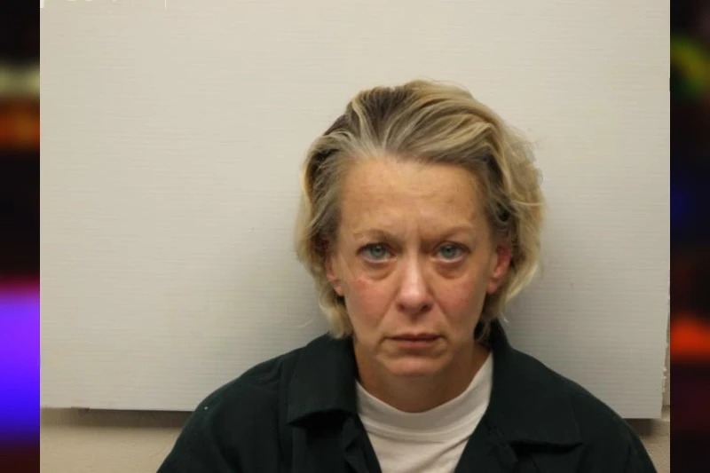 Lisa Groover mugshot – Chatham County , Georgia Lisa Groover mugshot