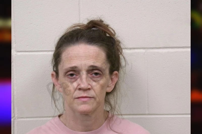 Lisa Haynes mugshot