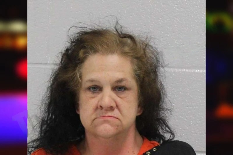 Lisa Neal Mugshots