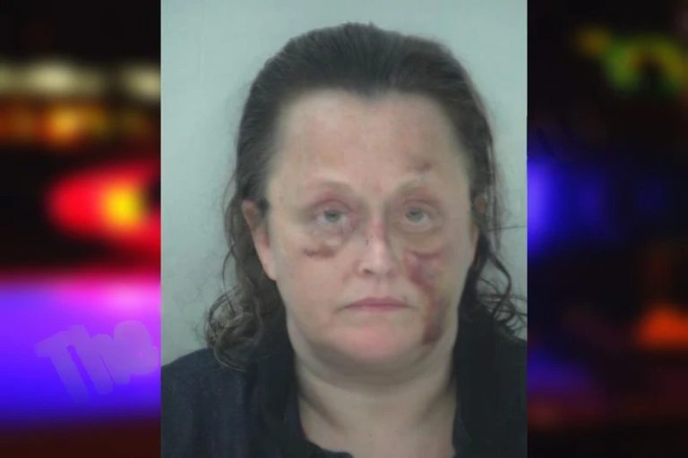 Lisa Shaw mugshot – Fayette County , Georgia Lisa Shaw