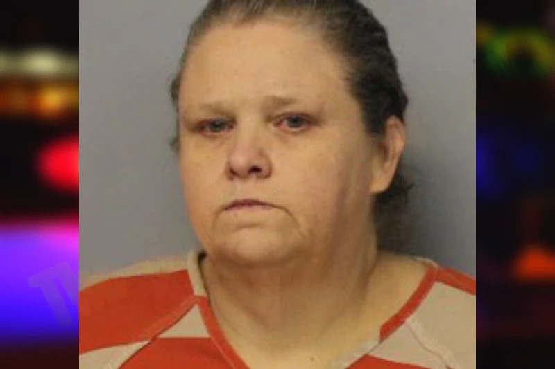 Lisa Watson mugshot – Hall County , Georgia Lisa Watson mugshot