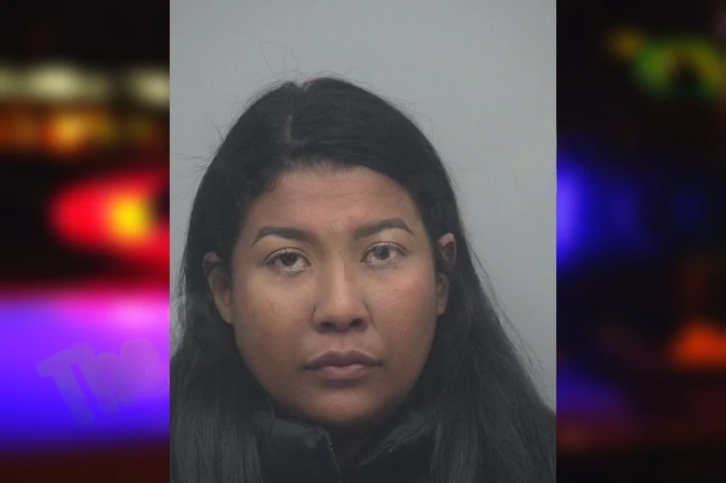 Lisbeth Contreras Mugshots